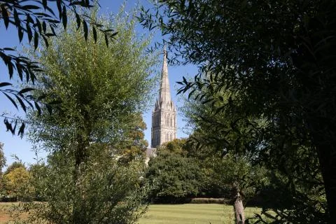 Salisbury Cathedral Foto stock