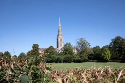 Salisbury Cathedral Stock Photos