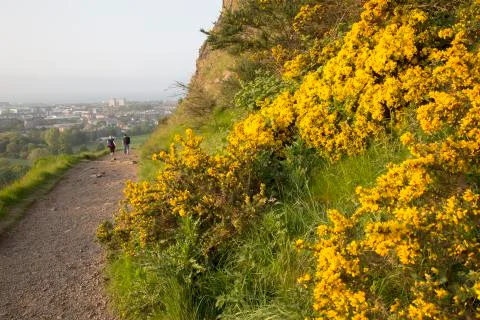 Salisbury Crags Stock Photos
