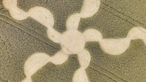 Salisbury five semi circle star crop formation aerial rising view near Stock Footage 281045930