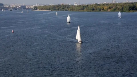 Salling vessels competition on the river Video stock 116126052