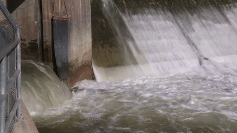Salmon and trout jumping at dam and fish ladder during autumn spawning season Stock Footage 79816717