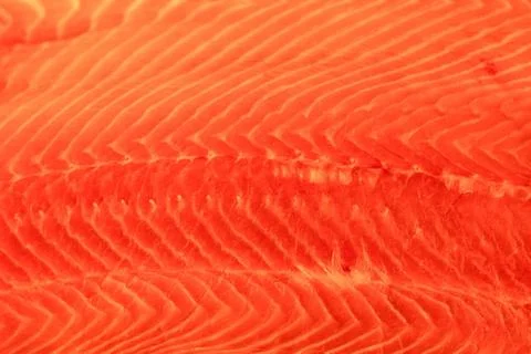Salmon background 스톡 사진