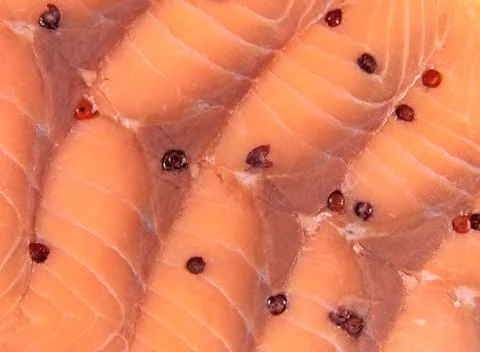 Salmon background Stock Photos