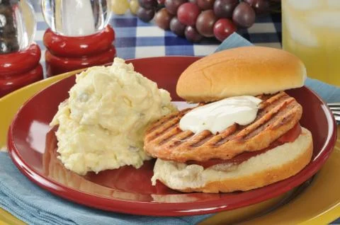 Salmon burger on a picnic table Stock Photos