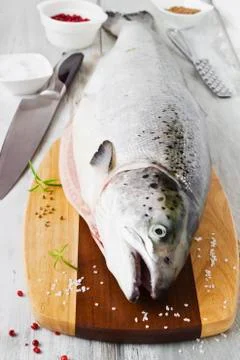 Salmon carcass Stock Photos