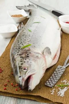 Salmon carcass Stock Photos
