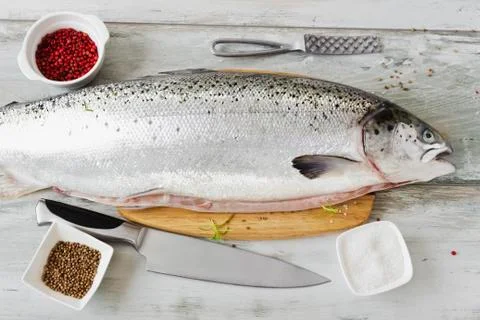 Salmon carcass Stock Photos