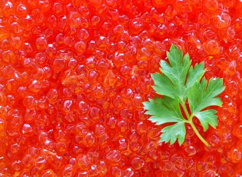 Salmon caviar Foto stock