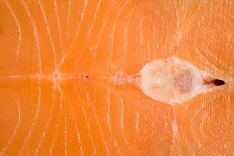 Salmon close up Stock Photos