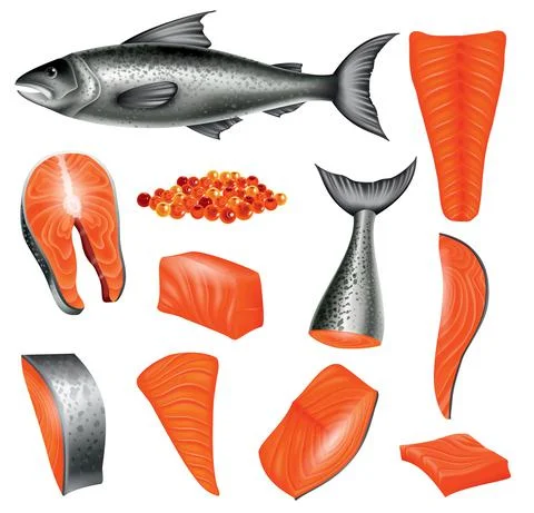 Salmon in different cuts and salmon eggs. Red fish isolated on white background Stock Illustration