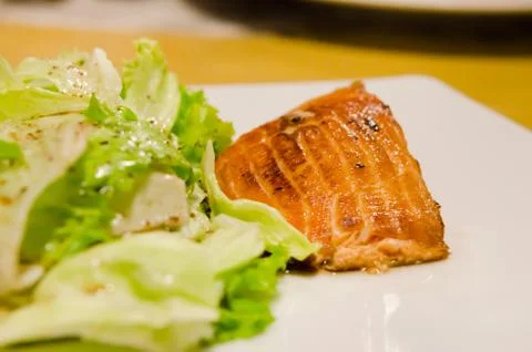 Salmon dish Фото