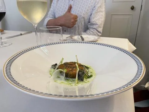 Salmon dish Stock Photos