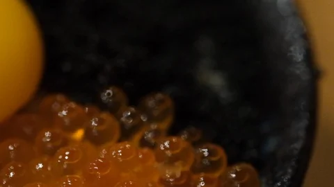 Salmon donburi or slice raw salmon on rice. Stock Footage 104824367