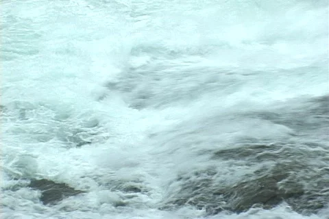 Salmon Double Leap Stock Footage