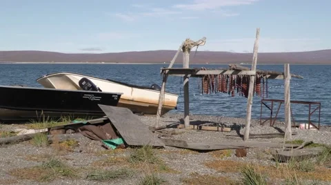 Salmon Drying on Rack at Eskimo Village by Bering Sea Vídeos de archivo 56726684
