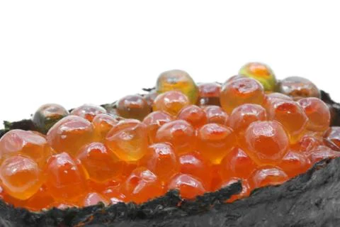 Salmon egg Stock Photos