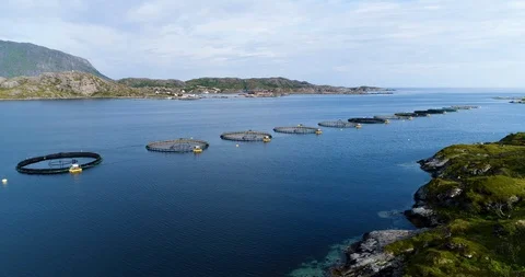 Salmon farm, aerial shot of string of salmon fishing pools Stock-Footage 112896628