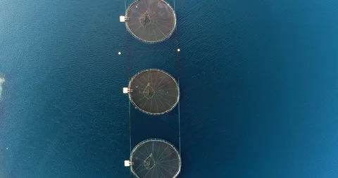 Salmon farm, cinematic top down reveal shot Stock-Footage 112889455