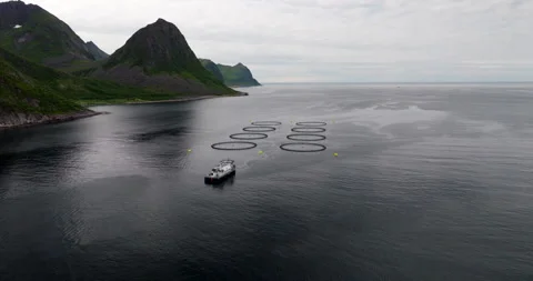 Salmon farm feed barge with connected pipes to marine pens in Oyfjord 스톡 동영상 318457151