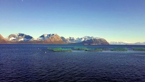 Salmon farm in Norway 動画素材 113145696