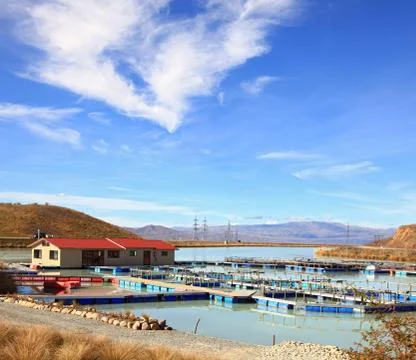 Salmon farm Stock Photos