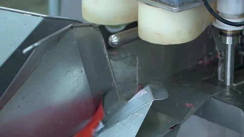 Salmon fillet cutting machine. Stock-Footage 158630595