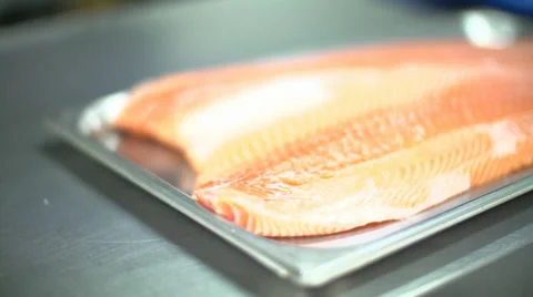 Salmon Fillet Stock Footage 33626874