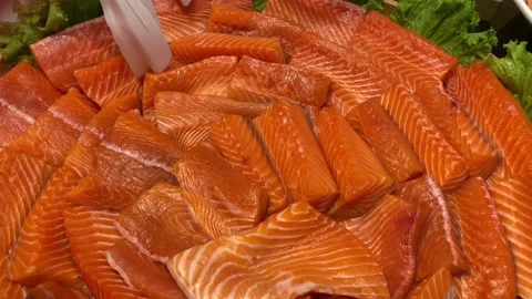 Salmon fillet Stock Footage 214115984