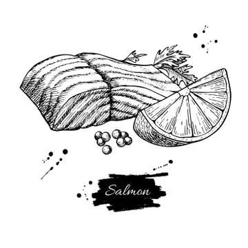 Salmon fillet hand drawn vector illustration. Engraved style vintage seafood. Stock Illustration