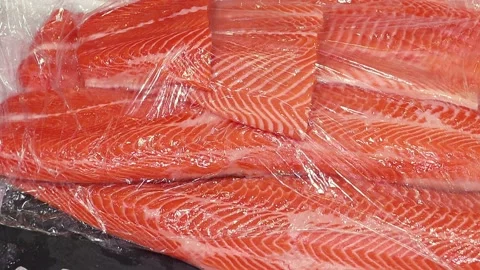 Salmon fillet on ice, close up Stock Footage 231910047