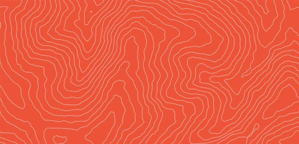 Salmon fillet texture fish pattern meat background. Sushi skin japanese food Stock Illustration