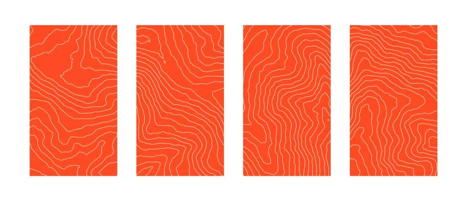 Salmon fillet texture fish pattern meat background. Sushi skin japanese food Stock Illustration