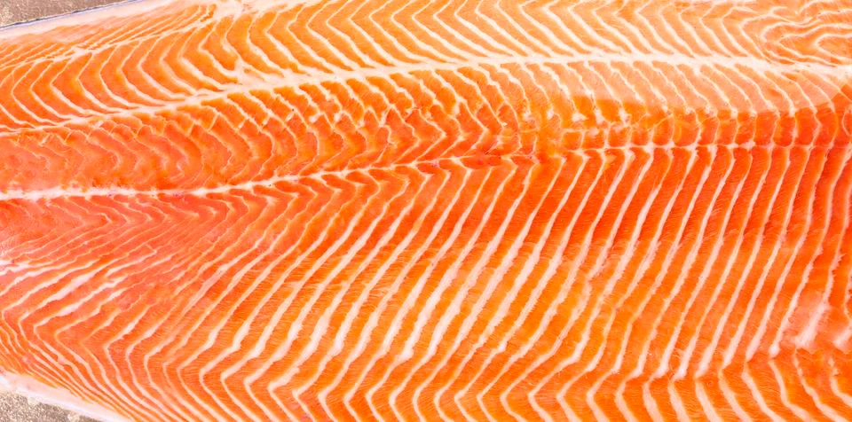 Salmon fillet texture pattern Stock Photos