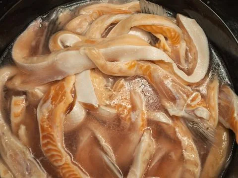 Salmon Fillets in Brine Solution for Cooking 库存照片