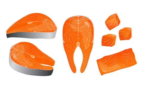 Salmon fillets, steak, and cubes seafood illustration イラスト素材