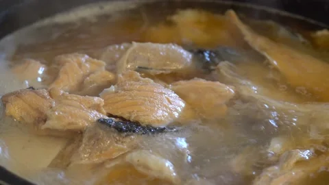 Salmon fish is cooked in a saucepan. Macro view. Fish soup. Video stock 155504678