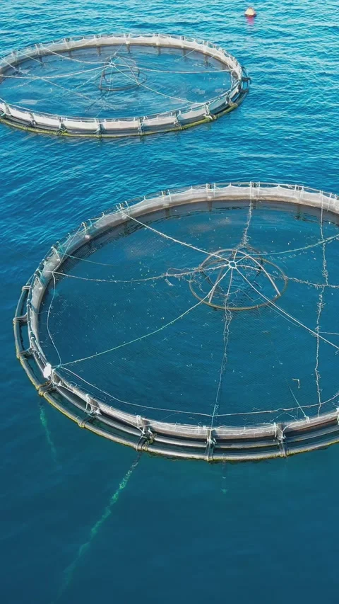 Salmon fish farm cages in open sea | Stock Video | Pond5