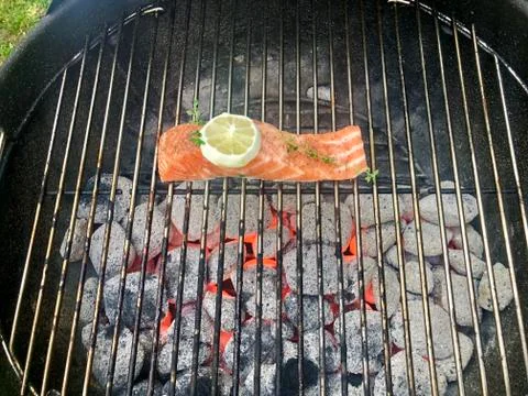Salmon fish on a grill Stock Photos