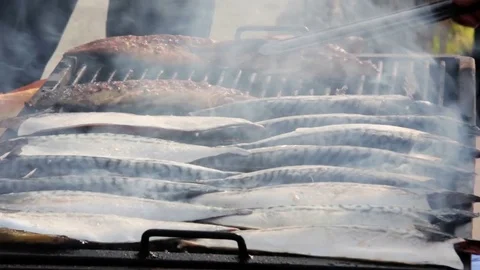 Salmon fish on a grill. Summer barbeque. Stock-Footage 74636241
