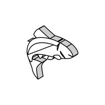 Salmon fish isometric icon vector illustration Stockillustratie