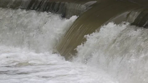 Salmon fish jumping in river over dam during fall spawning run Stock Footage 162975468