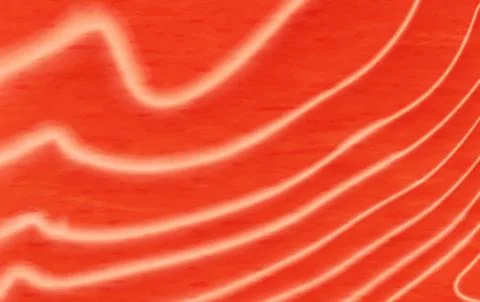 Salmon fish meat pattern background 스톡 일러스트