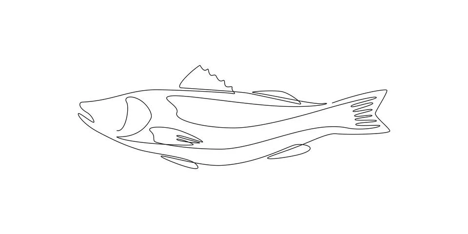 Salmon fish in one continuous line drawing. Wild trout in linear sketch style on Stock Illustration