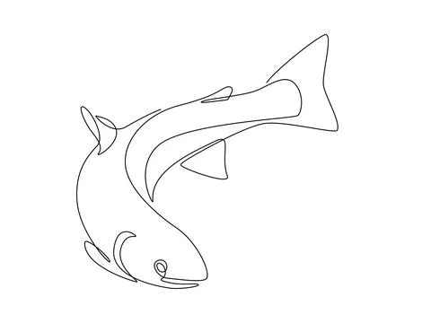 Salmon fish in one continuous line drawing. Fresh seafood in linear sketch style Stock Illustration
