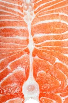 Salmon fish Stock Photos