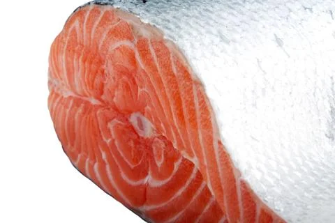 Salmon fish Stock Photos