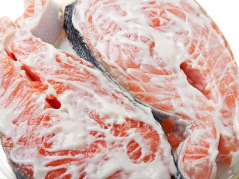 Salmon fish Stock Photos