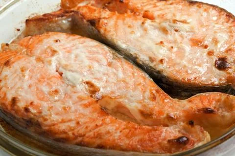 Salmon fish Stock Photos