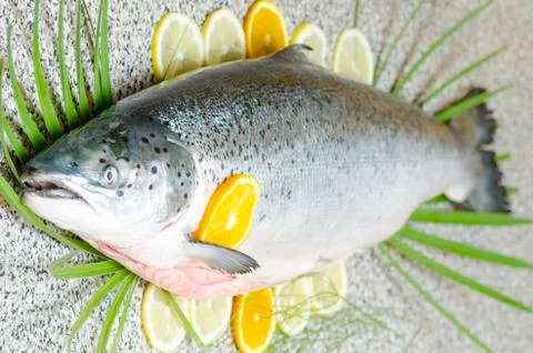 Salmon fish Foto stock